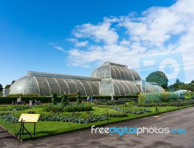 Palm House At Kew Gardens Stock Photo