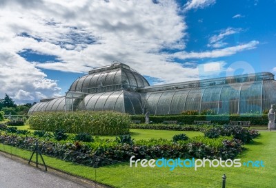 Palm House At Kew Gardens Stock Photo