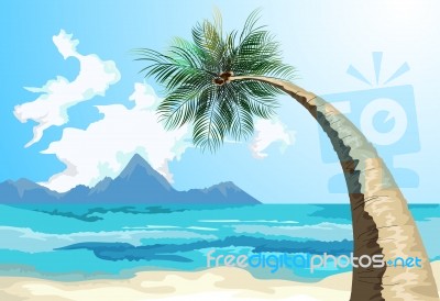 Palm On The Beach Stock Image