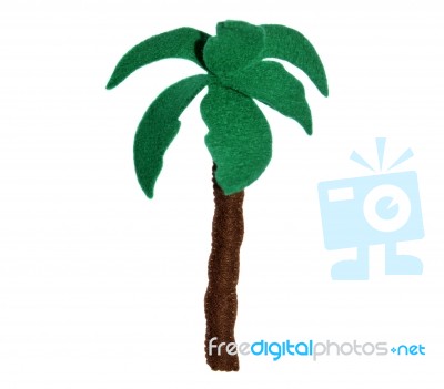 Palm Tree Stock Photo