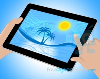 Palm Tree Indicates Tropical Climate And Coastline Tablet Stock Image