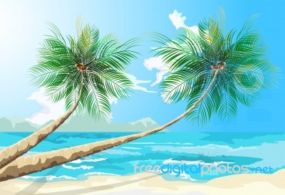 Palm Trees Scene Stock Image