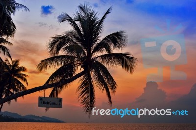 Palm Trees Silhouettes On The Colorful Sky Background Stock Photo