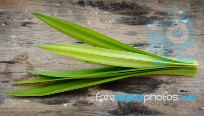 Pandan Stock Photo