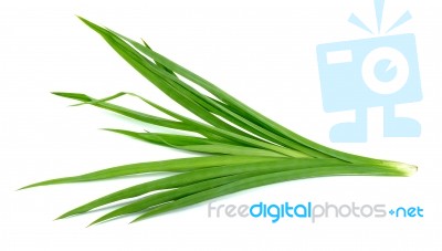 Pandan Leaf Isolated On The White Background Stock Photo