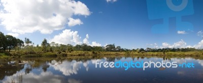 Panorama Of Reservoir In National Park Stock Photo