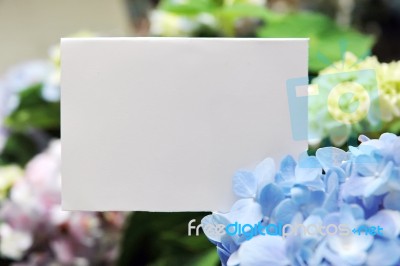 Paper Blank With Flowers Stock Photo