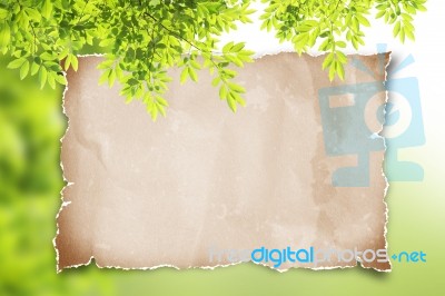 Paper With Green Leaf Frame Stock Image