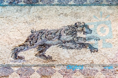 Paphos, Cyprus/greece - July 22 : Ancient Mosaic Near The House Stock Photo