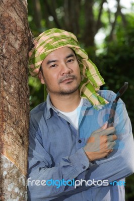 Para Rubber Farmer Stock Photo