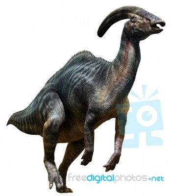 Parasaurolophus Stock Image