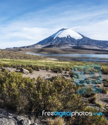 Parinacota Volcano, Lauca, Chile Stock Photo