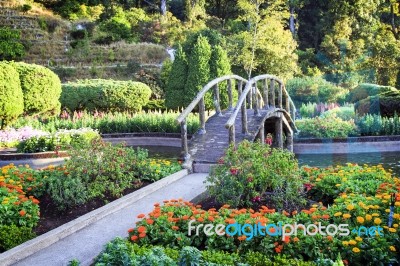 Park At Doi Inthanon Mountain Stock Photo