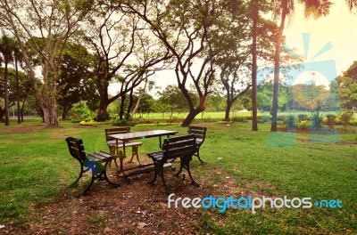 Park Benches, Nature Resting Benches Stock Photo