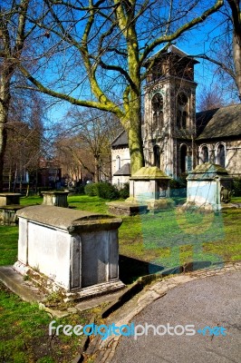 Park In London Spring Sky And Old Dead Tree Stock Photo