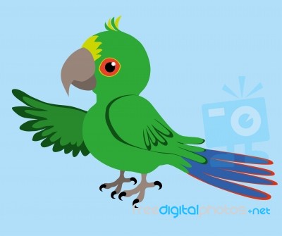 Parrot Stock Image