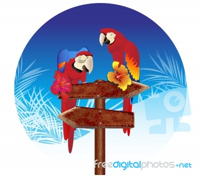  Parrots On Sign Board Stock Image