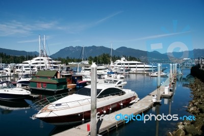 Part Of A Marina In Vancouver Stock Photo