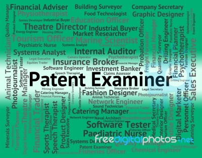 Patent Examiner Means Performing Right And Analyst Stock Image