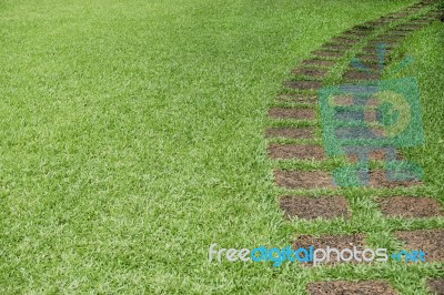 Pathway In The Green Grass Lawn Stock Photo