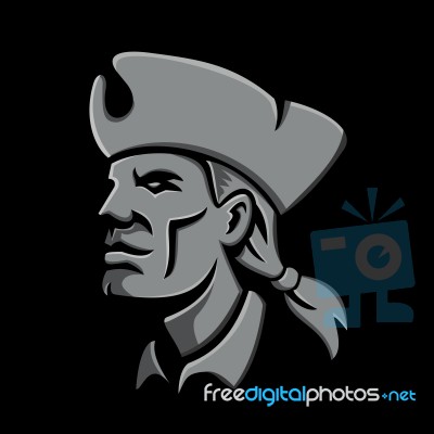 Patriot Head Metallic Icon Stock Image