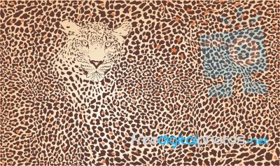 Pattern Background Leopard Stock Image