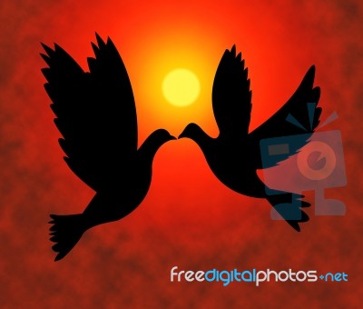 Peace Doves Represents Flock Of Birds And Pacifist Stock Image