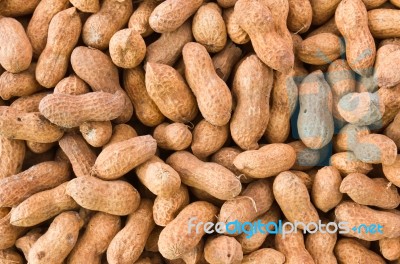 Peanut Or Groundnut Stock Photo