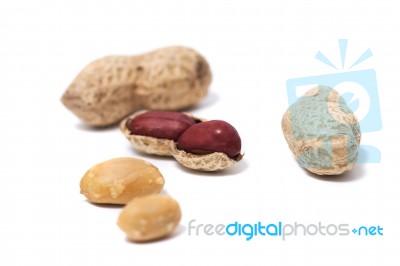 Peanuts On A White Background Stock Photo