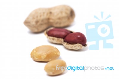 Peanuts On A White Background Stock Photo