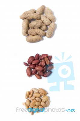 Peanuts On A White Background Stock Photo