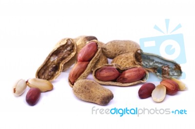 Peanuts On White Stock Photo