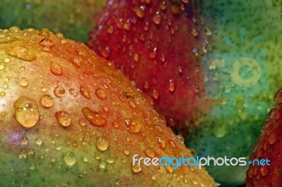 Pears With Drops Stock Photo