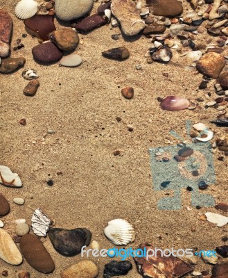 Pebbles And Shells Stock Photo