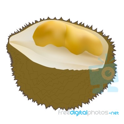 Peeled Durian Stock Image