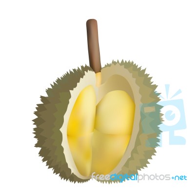 Peeled Durian 2 Stock Image