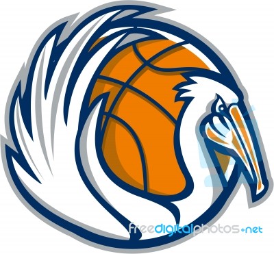 Pelican Wings Basketball Retro Stock Image