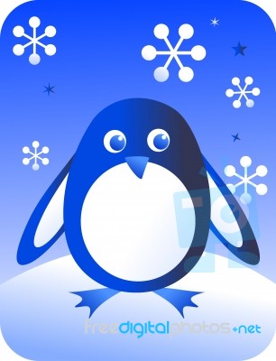 Penguin Stock Image