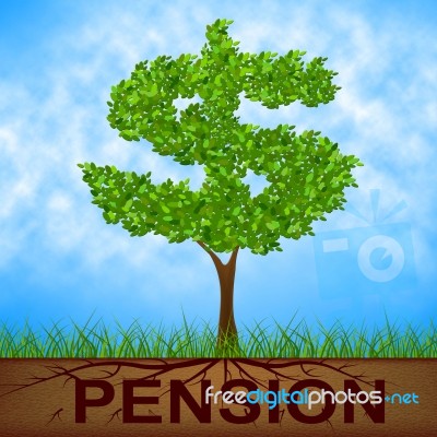 Pension Tree Indicates Finish Work And Banking Stock Image