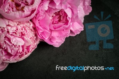 Peonies  On The Black Stone Background Horizontal Stock Photo