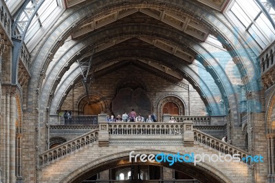 People At The Top Of A Staircase At The Natural History Museum I… Stock Photo