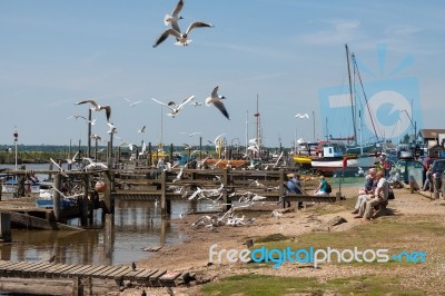 People Enjoying Fish Chips In Southwold Stock Photo