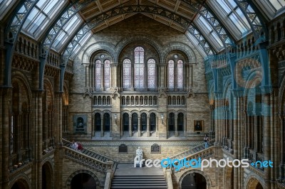 People Exploring  The National History Museum In London Stock Photo