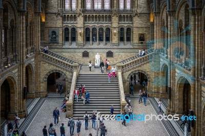 People Exploring  The National History Museum In London Stock Photo