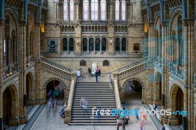 People Exploring  The National History Museum In London Stock Photo