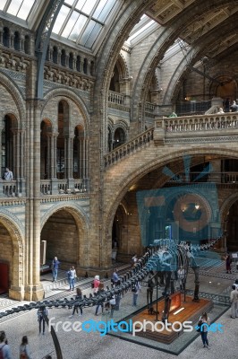 People Exploring  The National History Museum In London Stock Photo