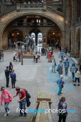 People Exploring  The National History Museum In London Stock Photo