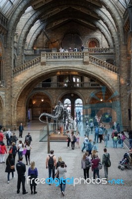 People Exploring  The National History Museum In London Stock Photo