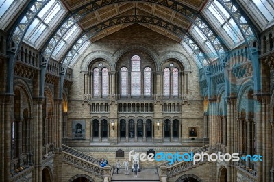 People On A Staircase In The National History Museum In London Stock Photo