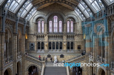 People On A Staircase In The National History Museum In London Stock Photo